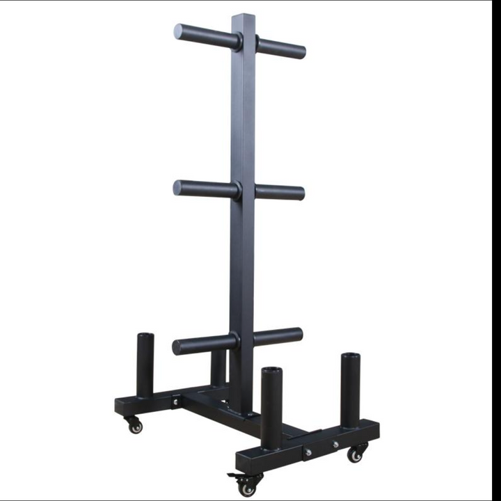 Vertical Olympic Plate Storage Rack