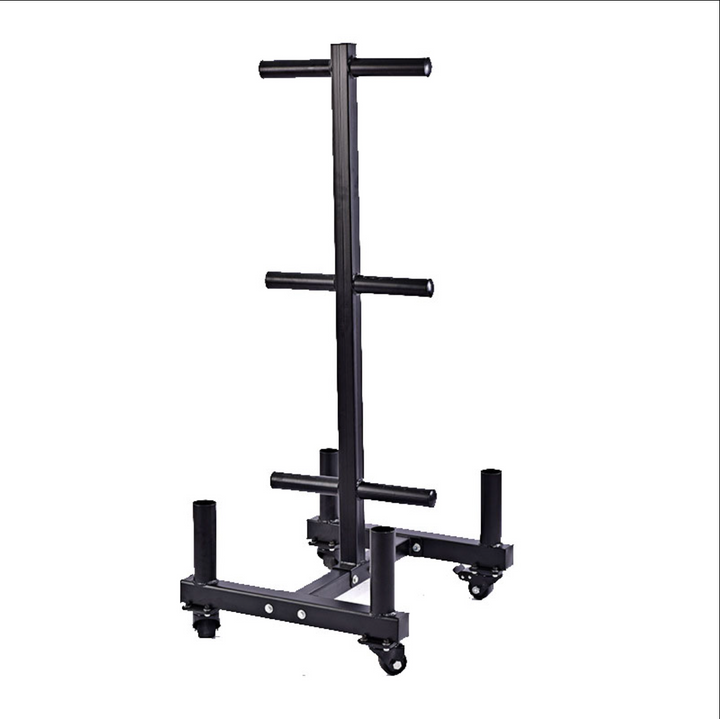 Vertical Olympic Plate Storage Rack