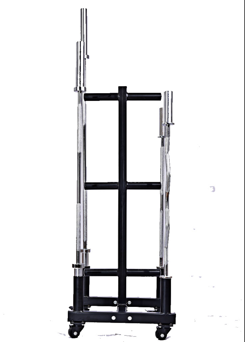Vertical Olympic Plate Storage Rack