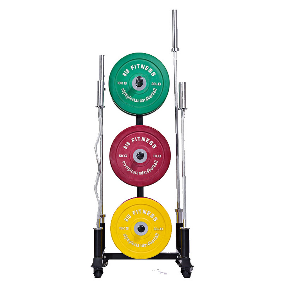 Vertical Olympic Plate Storage Rack