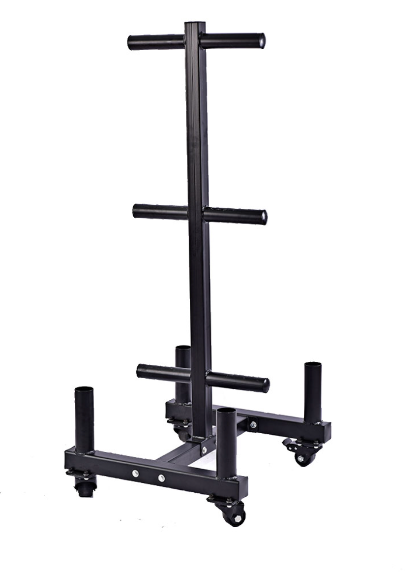 Vertical Olympic Plate Storage Rack